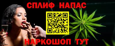 молекула духа Пенза