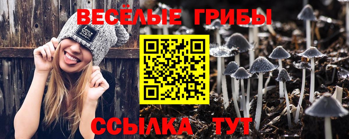 Псилоцибиновые грибы Magic Shrooms Подольск