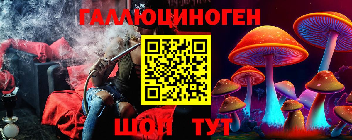 Псилоцибиновые грибы Psilocybe  Вход с VPN  Подольск 